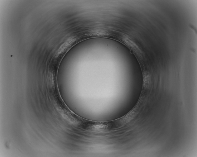 X0000102470158200808081258