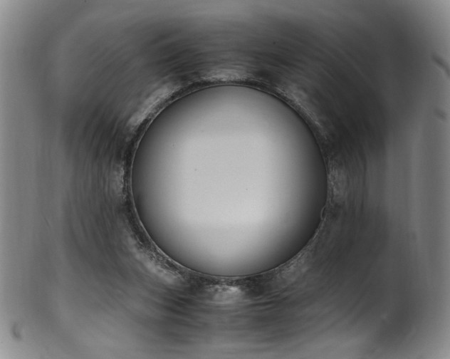 X0000102470159200808081258