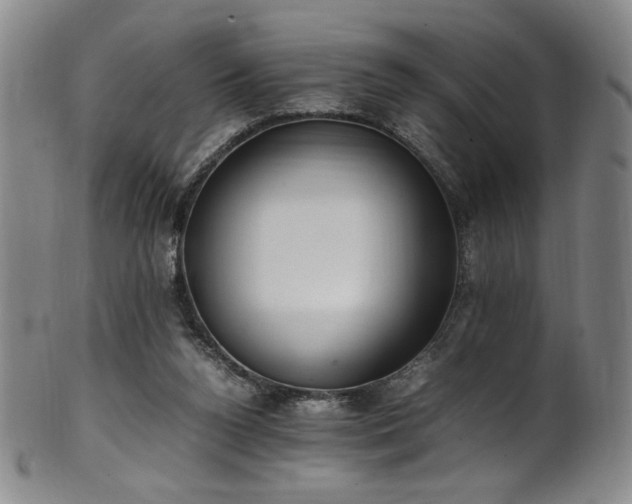 X0000102470160200808081258