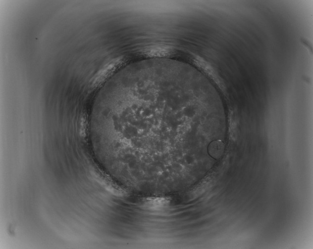 X0000102470161200808081258