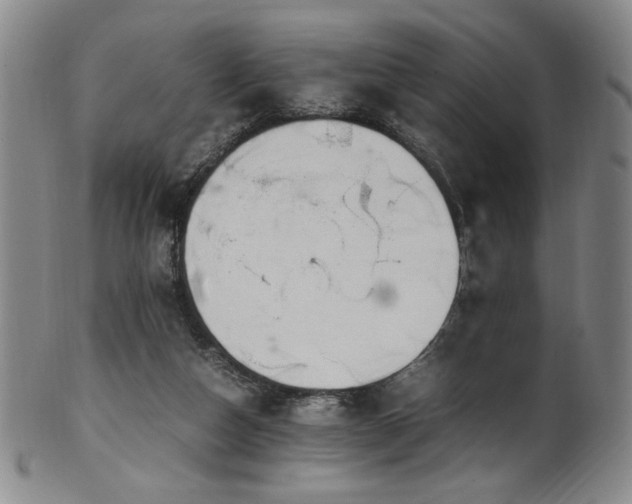 X0000102470162200808081258