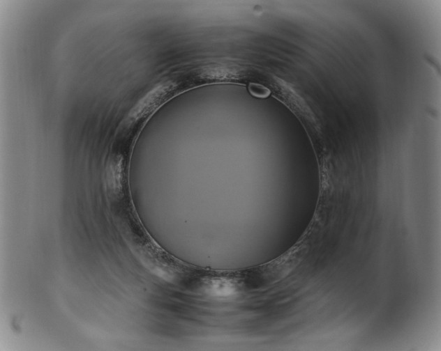 X0000102470163200808081258
