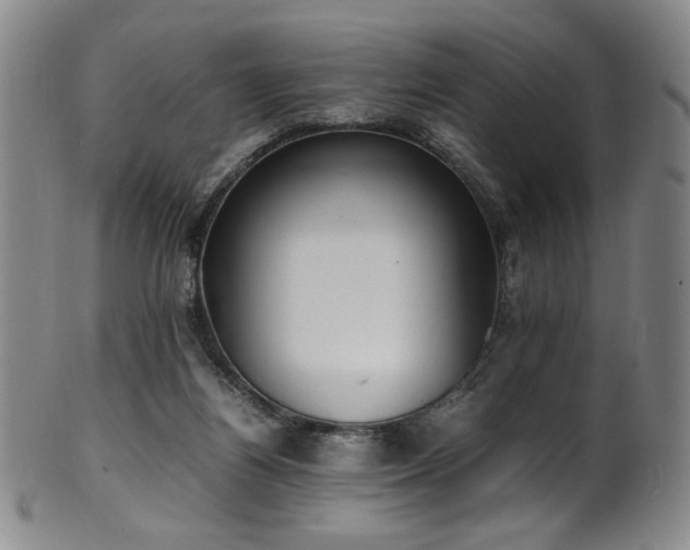X0000102470164200808081258