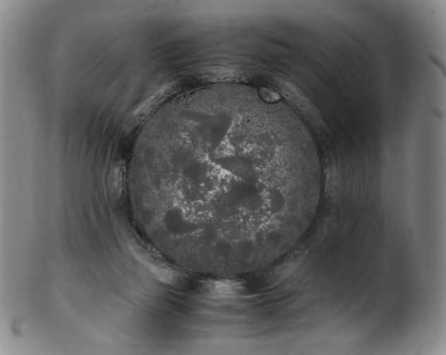 X0000102470165200808081258