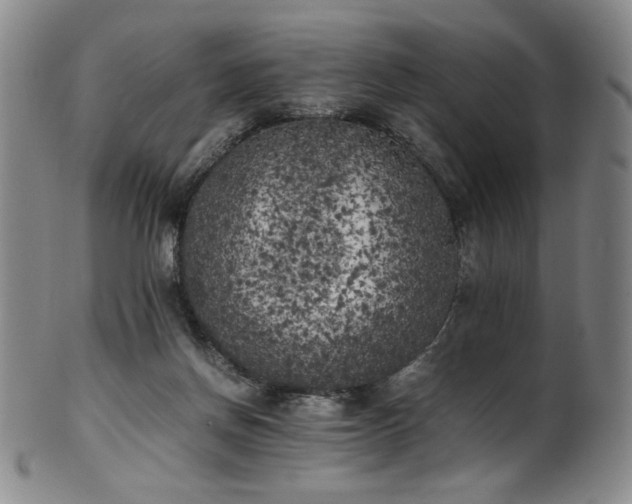 X0000102470166200808081258