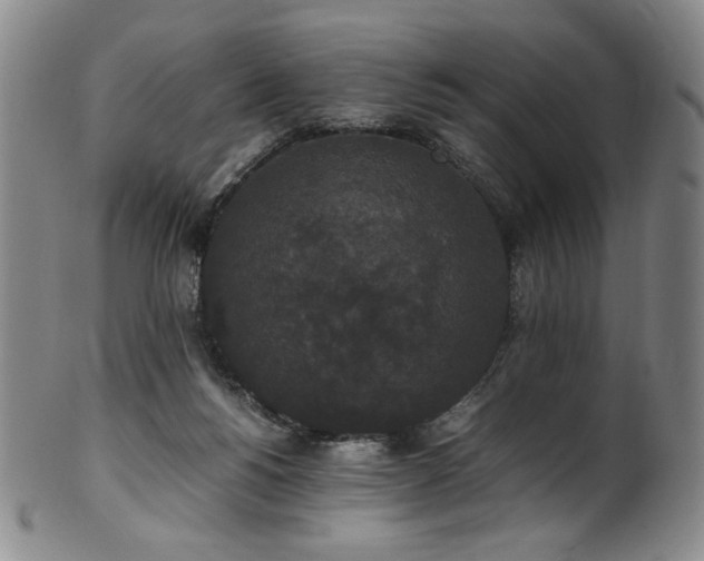X0000102470168200808081258