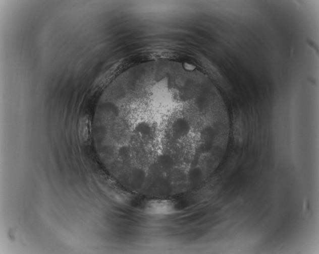 X0000102470169200808081258