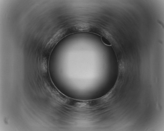 X0000102470170200808081258