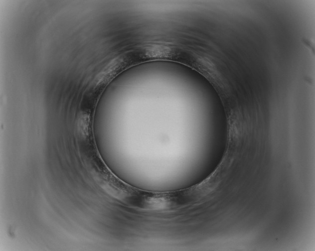 X0000102470171200808081258