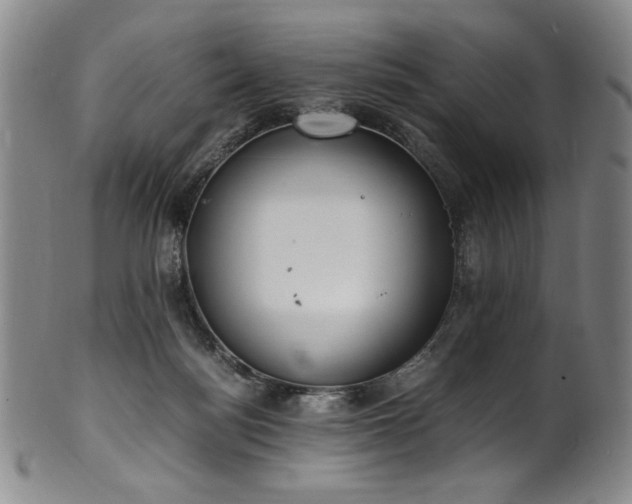 X0000102470172200808081258
