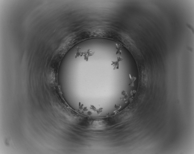 X0000102470173200808081258