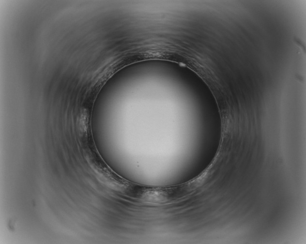 X0000102470174200808081258
