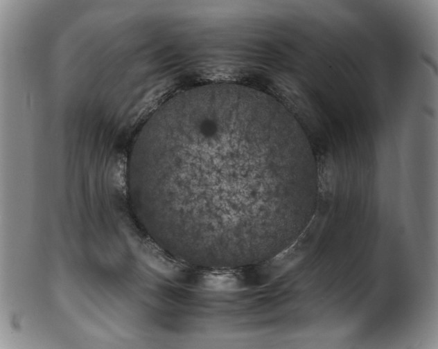 X0000102470175200808081258