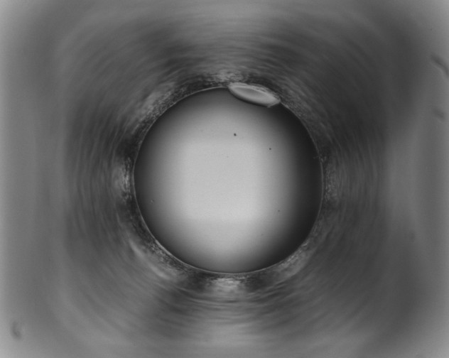 X0000102470176200808081258