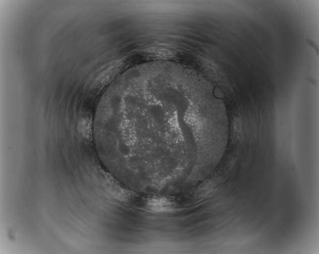 X0000102470177200808081259