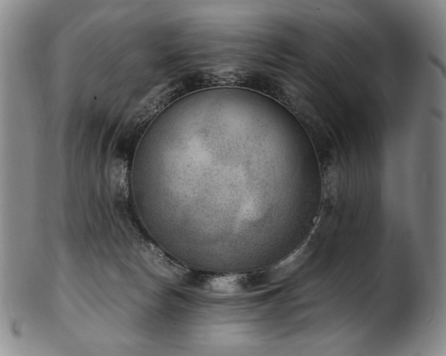 X0000102470178200808081259