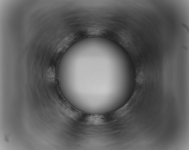 X0000102470179200808081259