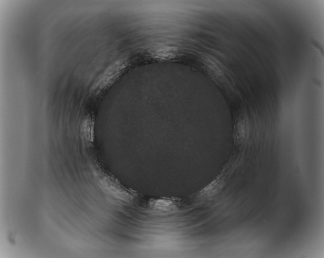 X0000102470180200808081259