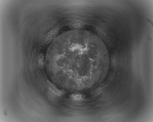 X0000102470181200808081259