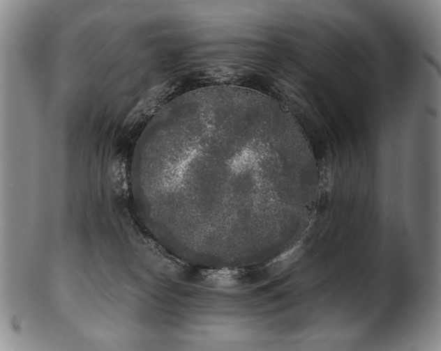 X0000102470182200808081259