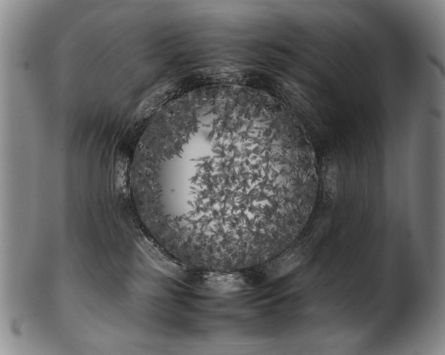 X0000102470185200808081259