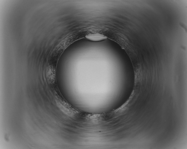 X0000102470186200808081259