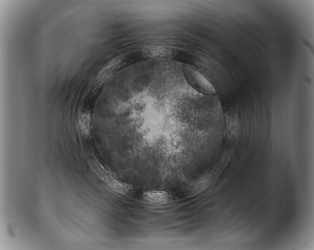 X0000102470189200808081259