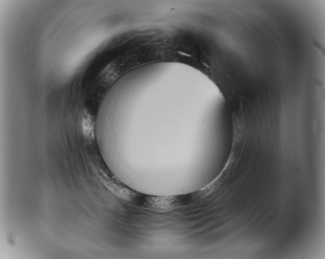 X0000102470191200808081259