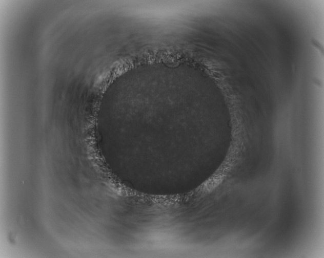 X0000102470192200808081259