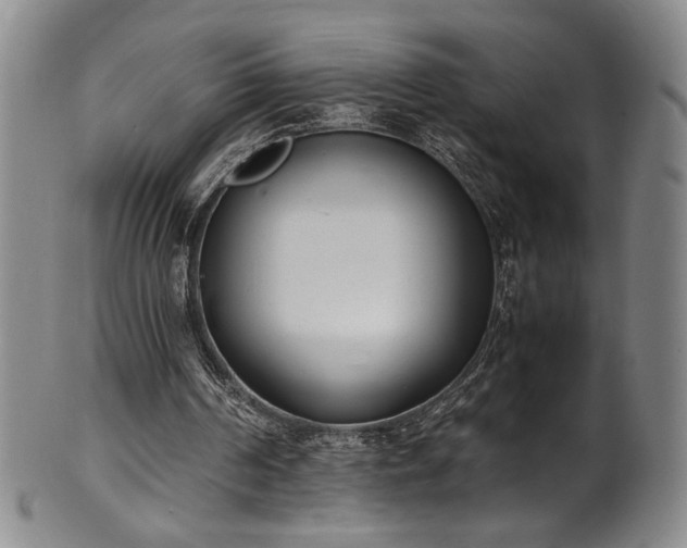 X0000102470194200808081258