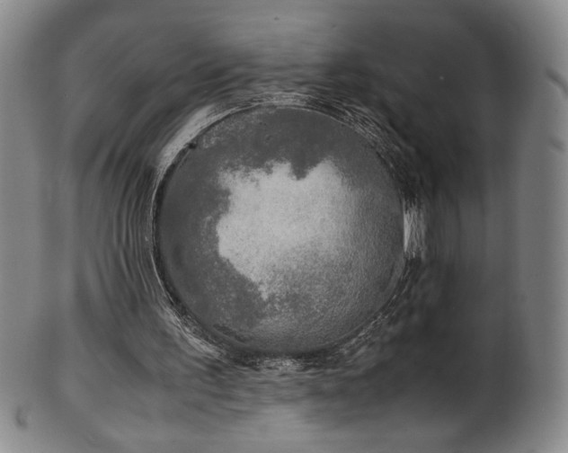 X0000102470195200808081258