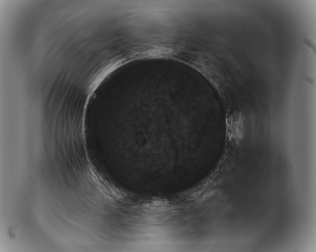 X0000102470196200808081258