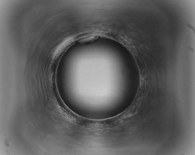X0000102470197200808081258