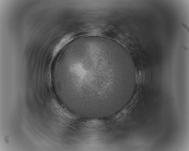 X0000102470198200808081258