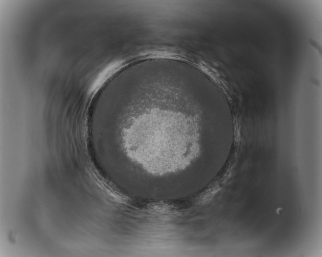 X0000102470199200808081258