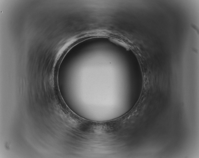 X0000102470200200808081258