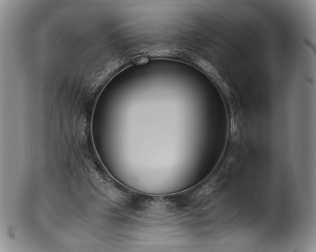 X0000102470201200808081258