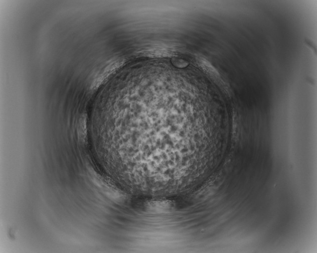 X0000102470202200808081258