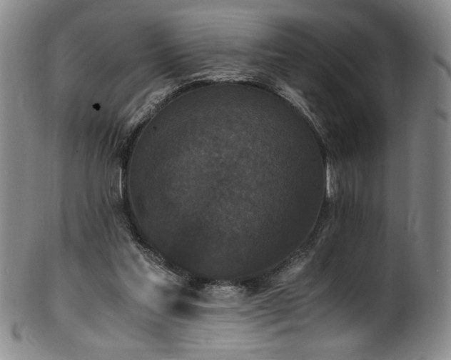 X0000102470205200808081258