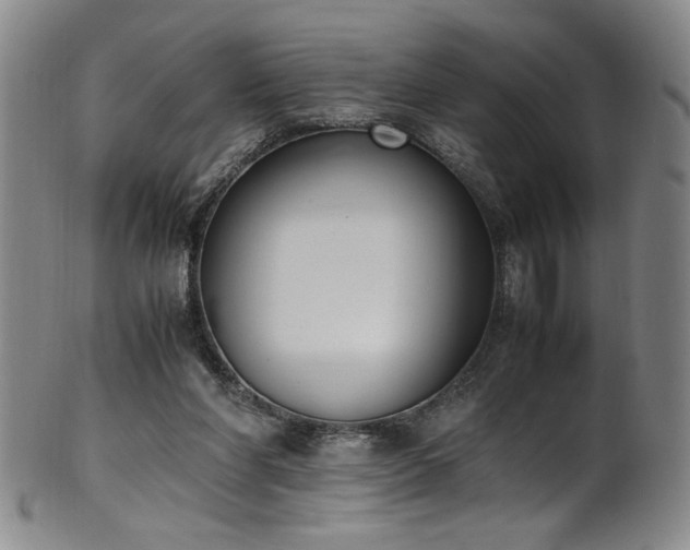 X0000102470206200808081258