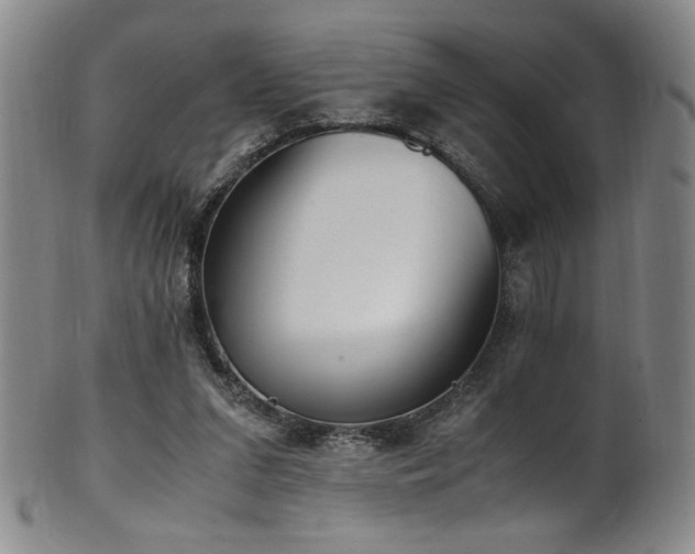 X0000102470207200808081258