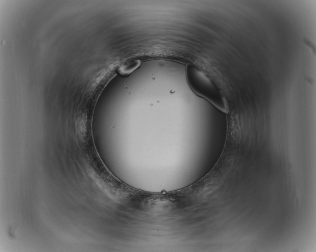 X0000102470208200808081258