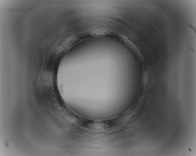 X0000102470209200808081258