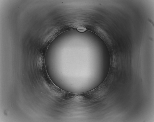 X0000102470210200808081258