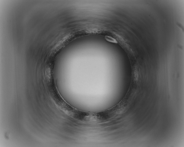X0000102470211200808081258
