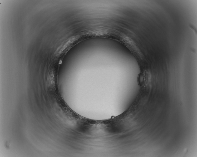X0000102470212200808081258