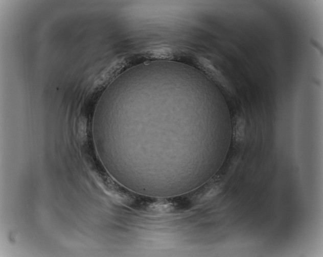 X0000102470213200808081258