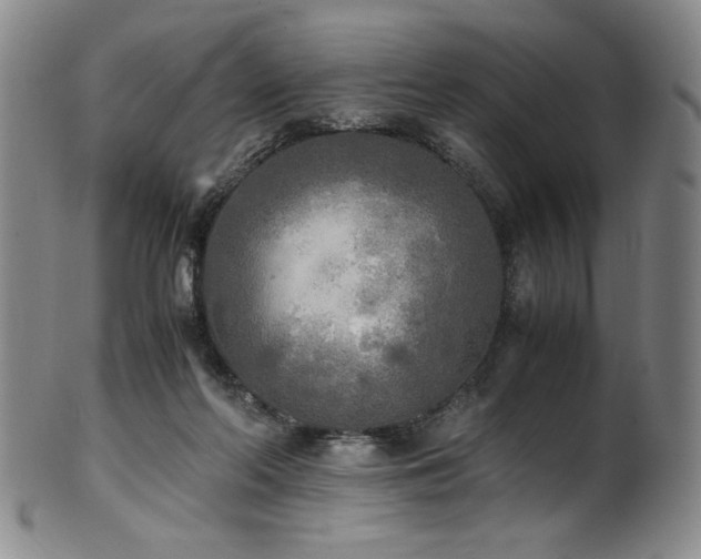 X0000102470214200808081258