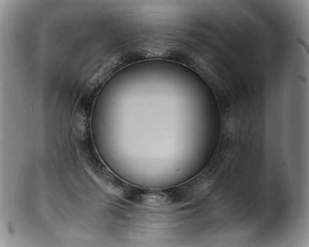 X0000102470215200808081258