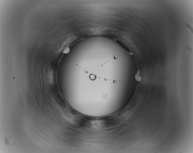 X0000102470216200808081258